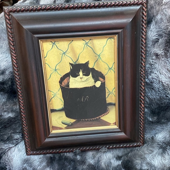 2 Miss Meka Cat Picture Paul Stagg The Bombay Company Stephanie Hoppen - Picture 14 of 16